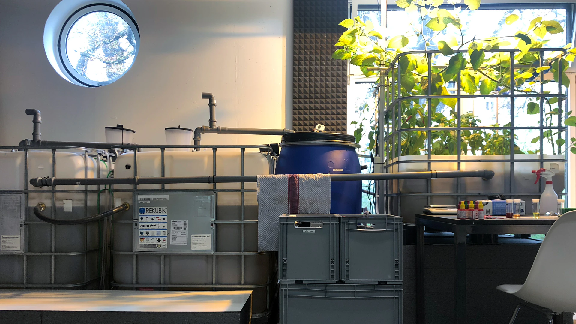 aquaponic system project image 01